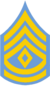 NJSP - Sergeant Major.png 