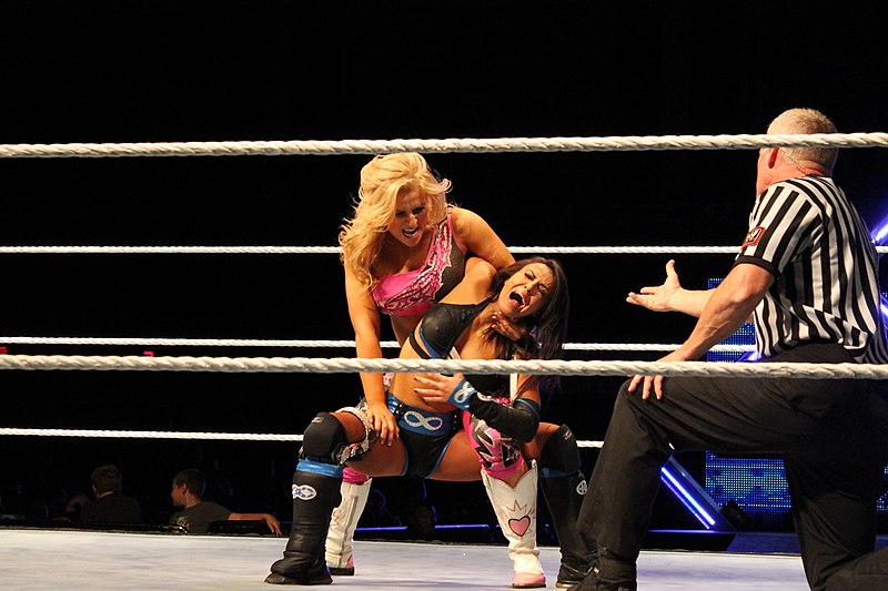 File:Natalya abdominal stretch on Layla.jpg