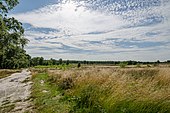 Park Narodowy-Maasduinen-2012.jpg