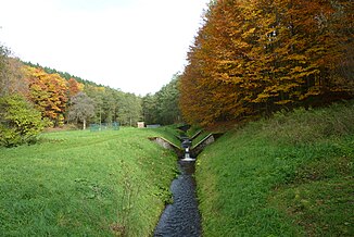 Der Nauholzbach knapp oberhalb der Obernautalsperre