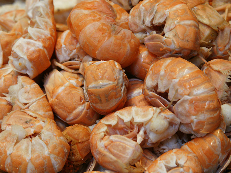 File:Nephrops norvegicus (cooked tails).jpg