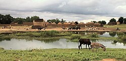 Niger, Salewa (3), roadside view.jpg