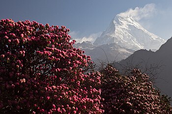 Himalaya: Fysische geografie, Natuur, Sociale geografie