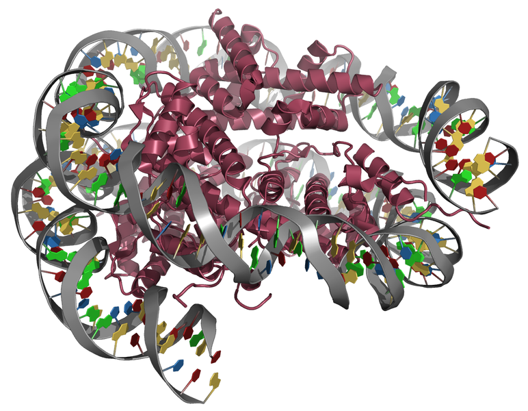 File:Nucleosome-2PYO.png