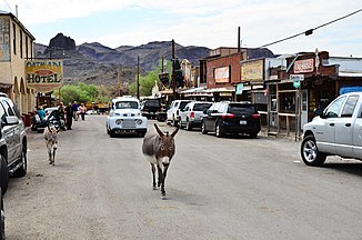 Old U.S. Route 66, Oatman Highway, Oatman, Arizona, taken on August 16, 2016.