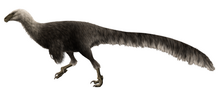 Life restoration, depicted with speculative feathers. Ornitholestes reconstruction.png