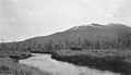 Otter Creek between Discovery and Flat City, Alaska, September 1914 (AL+CA 3971).jpg