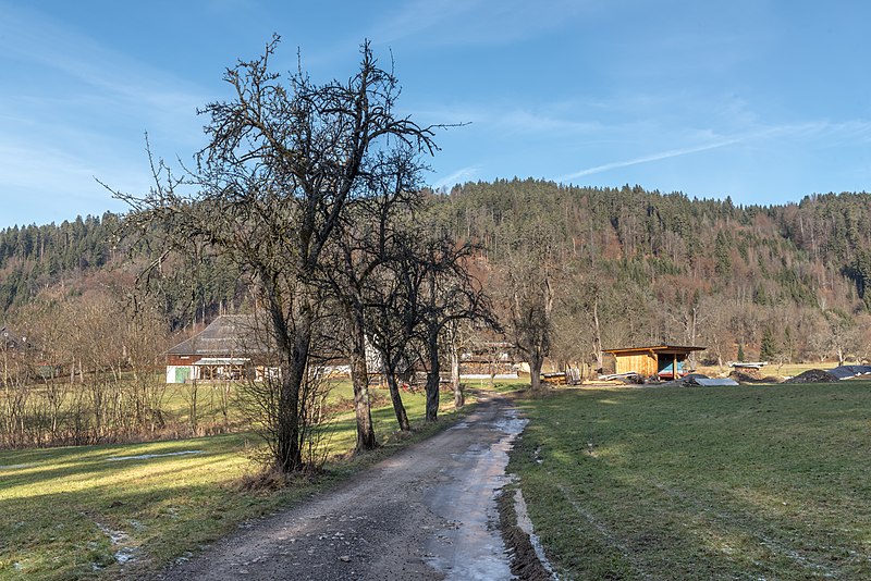 File:Pörtschach Winklern Brockweg Birnbaumallee 09012020 7947.jpg