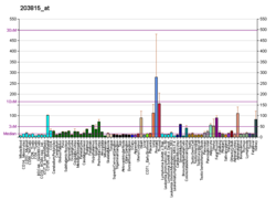 PBB GE GSTT1 203815 در fs.png