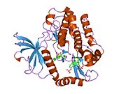 PDB 2auh EBI.jpg