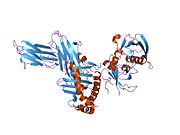 PDB 2ipk EBI.jpg