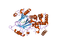 PDB 2yu1 EBI.png