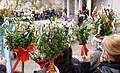 Palm Sunday in Austria 07