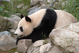 Tiergarten Schönbrunn