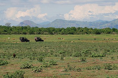 Safari dans le parc national de Uda Walawe National District de Monaragala au Sri Lanka