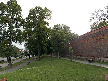 Citadel Park, with the 16th century city wall