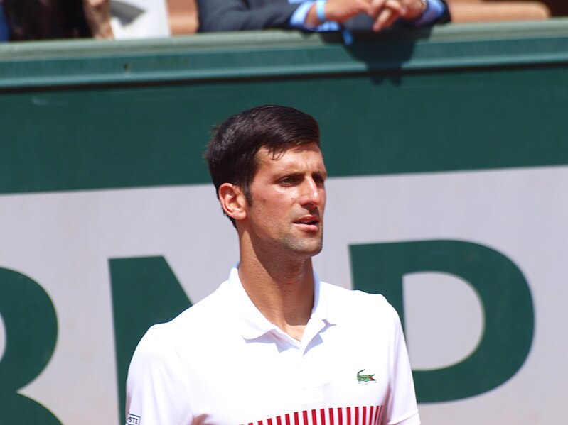 File:Paris-FR-75-open de tennis-31-5-17-Roland Garros-Novak Djokovic-28.jpg