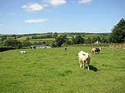 Pasture at Listerlin, Co.Kilkenny - geograph.org