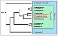 Miniatura della versione delle 11:30, 1 set 2014