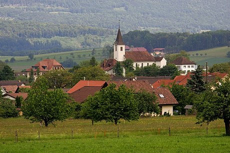 Wahlen bei Laufen