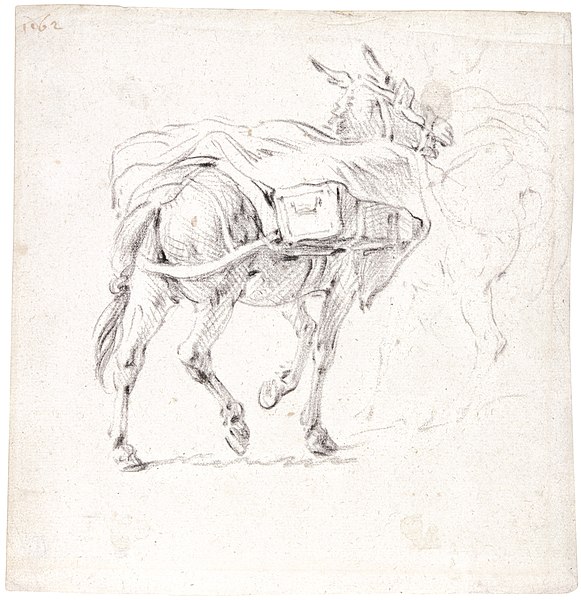 File:Pieter van Bloemen - Study of a trotting donkey with sidepacks.jpg