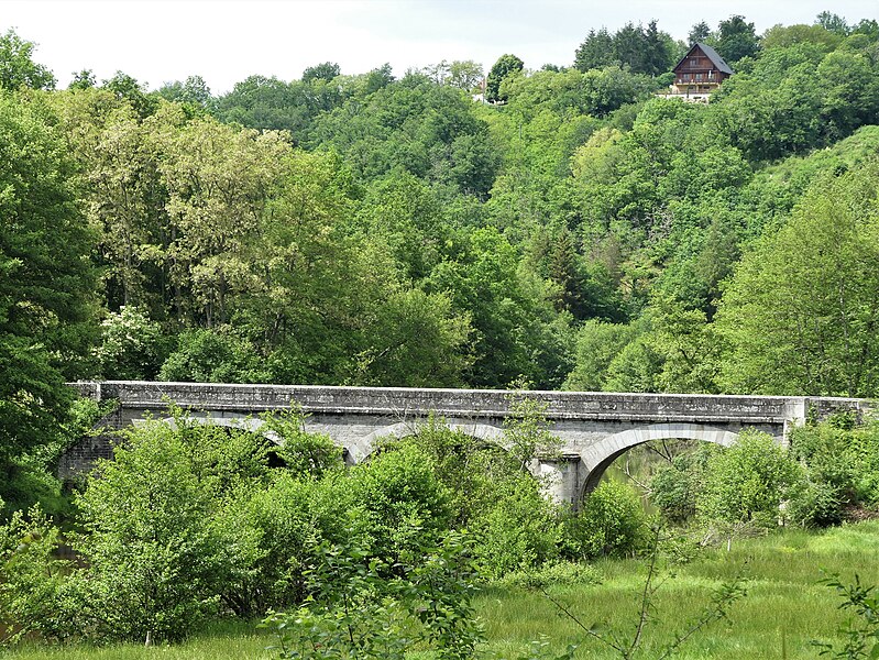 File:Pionnat pont D50 las Brouas.jpg