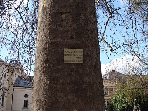 the trunk with the plaque