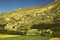 Pola uprawne w dolinie Ghorband, na zboczach – domy z kamienia - droga z Czarikar do Bamianu - 001023s.jpg