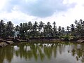 Pond at Shiva temple near Kottakkal, Kerala