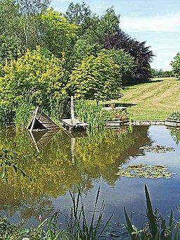 Pond at Hopleys Garden, Much Hadham - geograph.org.uk - 72958