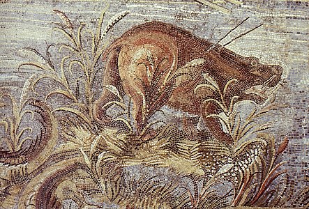 Praeneste - Nile Mosaic - 18-бөлім - Detail.jpg