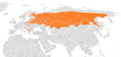 Present distribution of the gray wolf subspecies - Eurasian wolf (Canis lupus lupus) updated.png