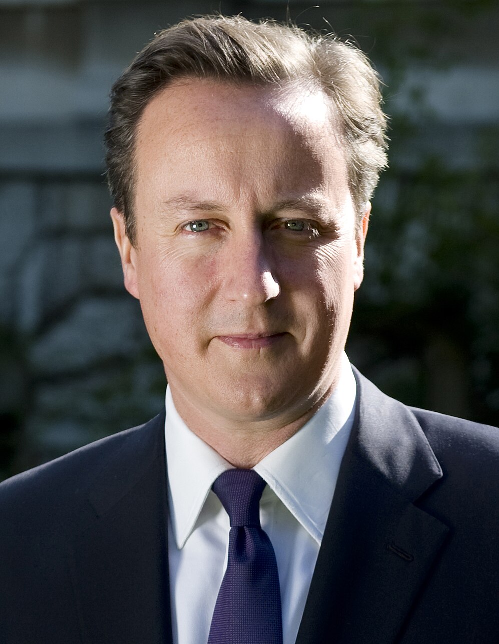 David Cameron-avatar