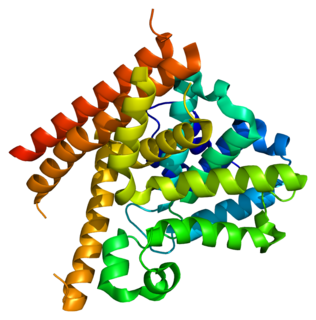 PDE1B