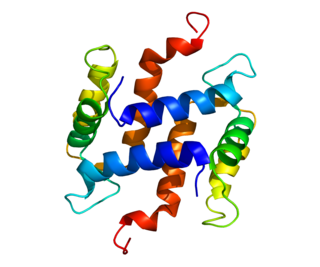 <span class="mw-page-title-main">S100A5</span> Protein-coding gene in the species Homo sapiens