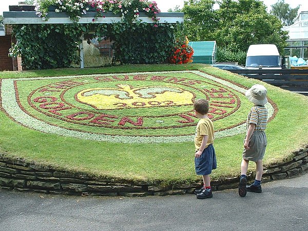 Image: Queen's Golden Jubilee celebrated, Stafford   geograph.org.uk   2004002