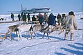 RIAN archive 501303 Aircraft delivered cargo for reindeer herders.jpg