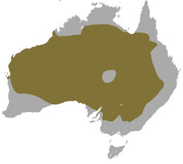 Red Kangaroo area.png