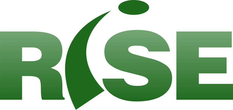 File:Rise Technology wordmark.svg