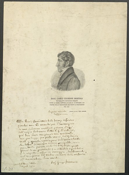 File:Ritratto di Carlo Giuseppe Bertero, 1827 - Accademia delle Scienze di Torino - Ritratti 0025.jpg