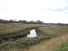 River Roach at Stambridge Mills looking West