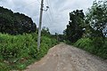 Road to Paradise Ranch and Zoocobia - panoramio (5).jpg