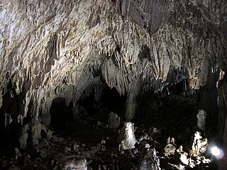 <span class="mw-page-title-main">Romito Cave</span> Cave and archaeological site in the Pollino National Park in Calabria, Italy