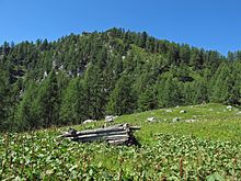 Die Überreste der Rotwandalm.