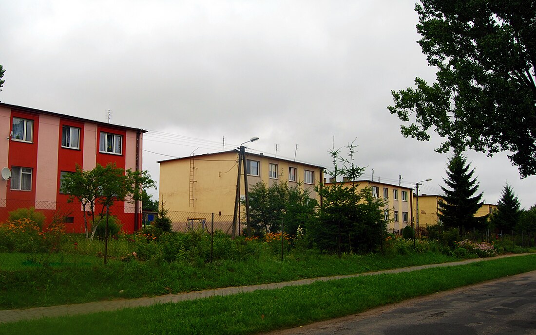 Rudki (Gniezno)