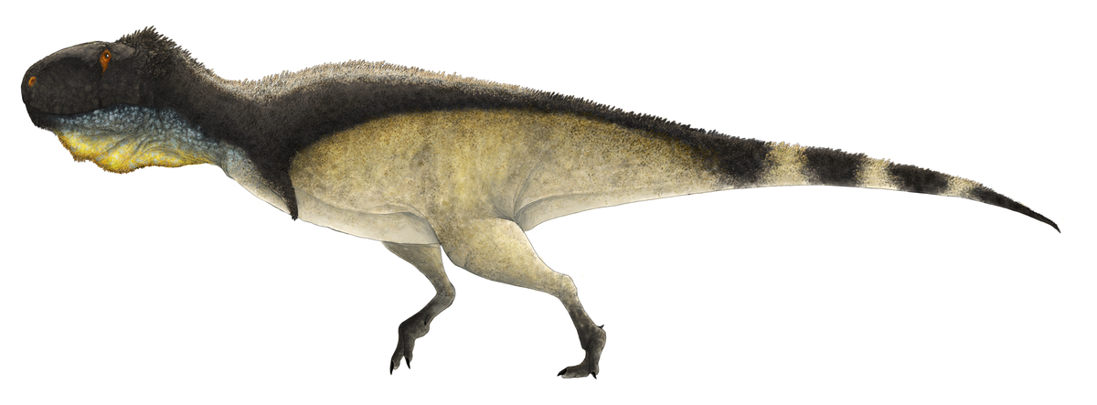 File:Tyrannosaurus Rex colored.png - Wikipedia