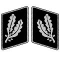 1929年から1942年までの襟章