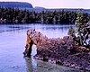 Sea Lion Arch a Sleeping Giant.jpg