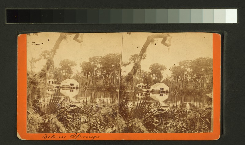 File:Silver Springs, General View (NYPL b11707408-G90F132 010ZF).tiff