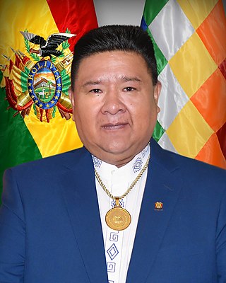 <span class="mw-page-title-main">Sergio Choque</span> Bolivian politician (born 1968)